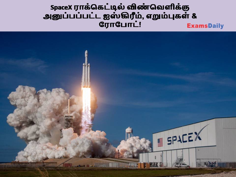 SpaceX ராக்கெட்டில் விண்வெளிக்கு அனுப்பப்பட்ட ஐஸ்கிரீம், எறும்புகள் & ரோபோட்!