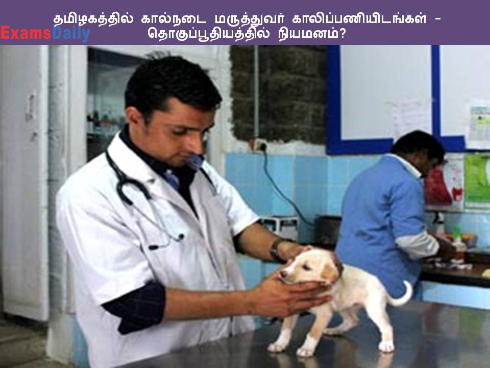 Veterinary Vacancies In Tamil Nadu - Appointment In The Complex? - Rojgar  Samachar | Govt Jobs News, University Exam Results, Time Table, Admit Card  And Rojgar Results