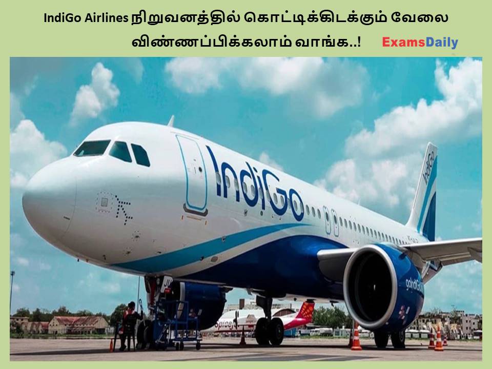 IndiGo Airlines நிறுவனத்தில் கொட்டிக்கிடக்கும் வேலை - விண்ணப்பிக்கலாம் வாங்க..!