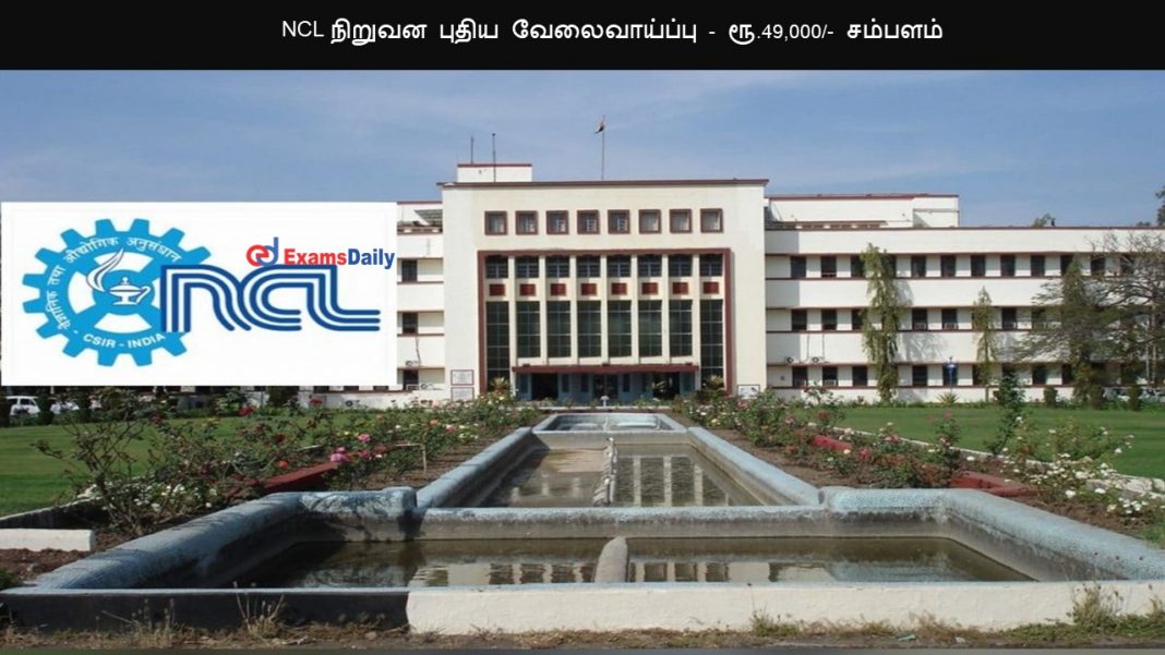 NCL நிறுவன புதிய வேலைவாய்ப்பு - ரூ.49,000/- சம்பளம்
