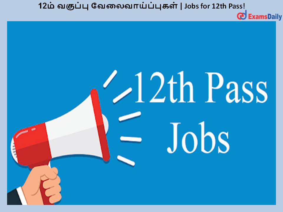 12ம் வகுப்பு வேலைவாய்ப்புகள் | Jobs for 12th Pass!