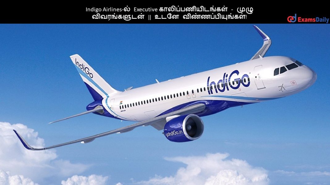 Indigo Airlines-ல் Executive காலிப்பணியிடங்கள் - முழு விவரங்களுடன் || உடனே விண்ணப்பியுங்கள்!