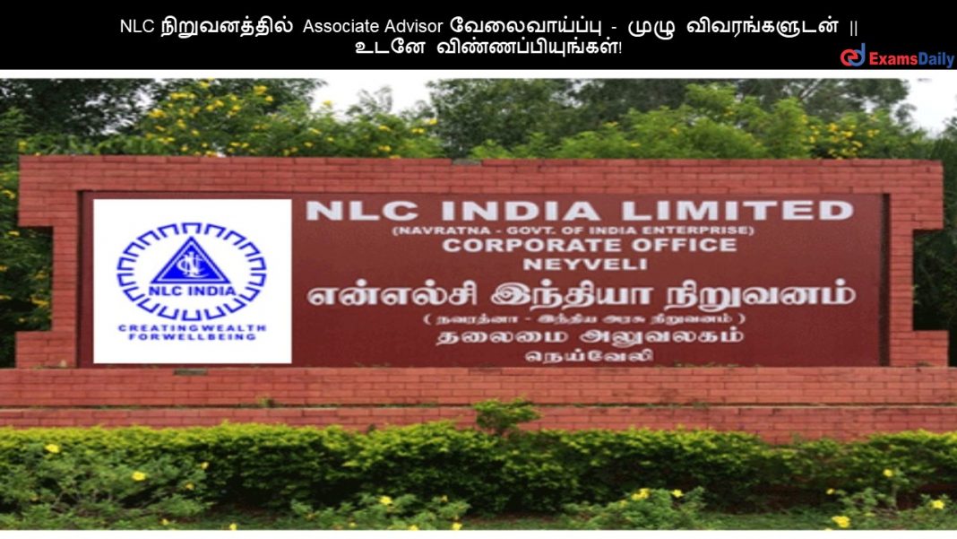 NLC ???????????? Associate Advisor ???????????? - ???? ???????????? || ???? ????????????????! NLC ???????????? Associate Advisor ???????????? - ???? ???????????? || ???? ????????????????!