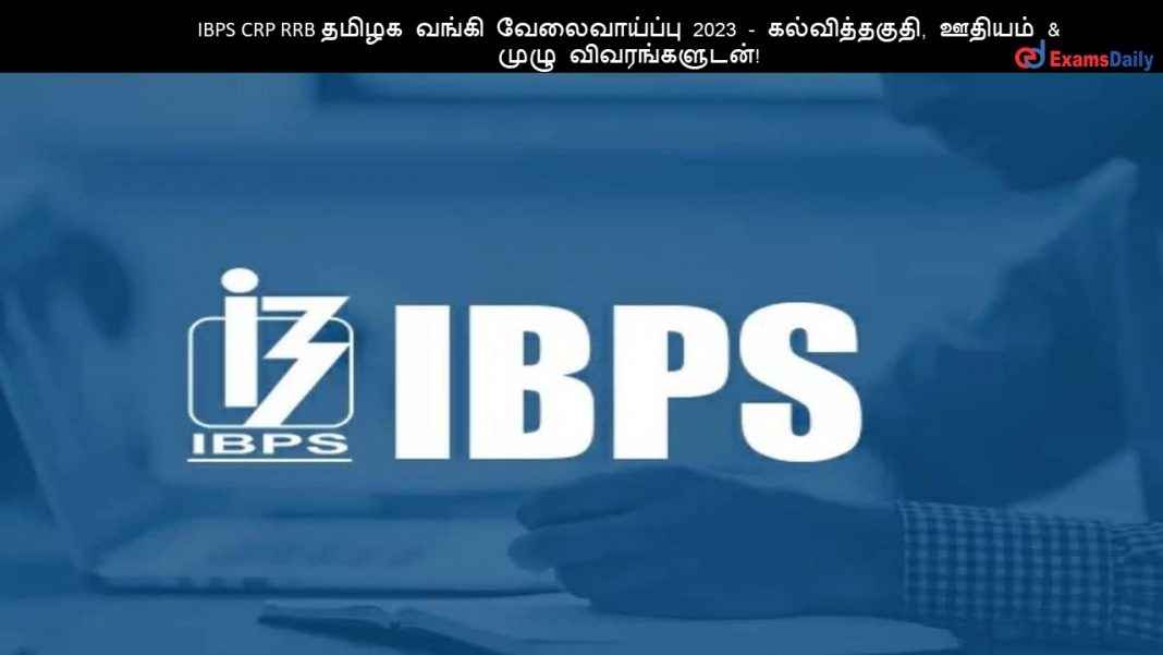 IBPS CRP RRB தமிழக வங்கி வேலைவாய்ப்பு 2023 - கல்வித்தகுதி, ஊதியம் & முழு விவரங்களுடன்!