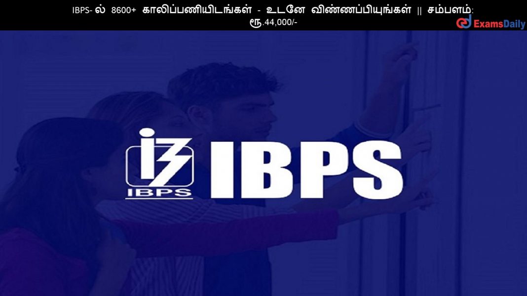 IBPS- ?? 8600+ ????????????????? - ???? ???????????????? || ???????: ??.44,000/- IBPS- ?? 8600+ ????????????????? - ???? ???????????????? || ???????: ??.44,000/-