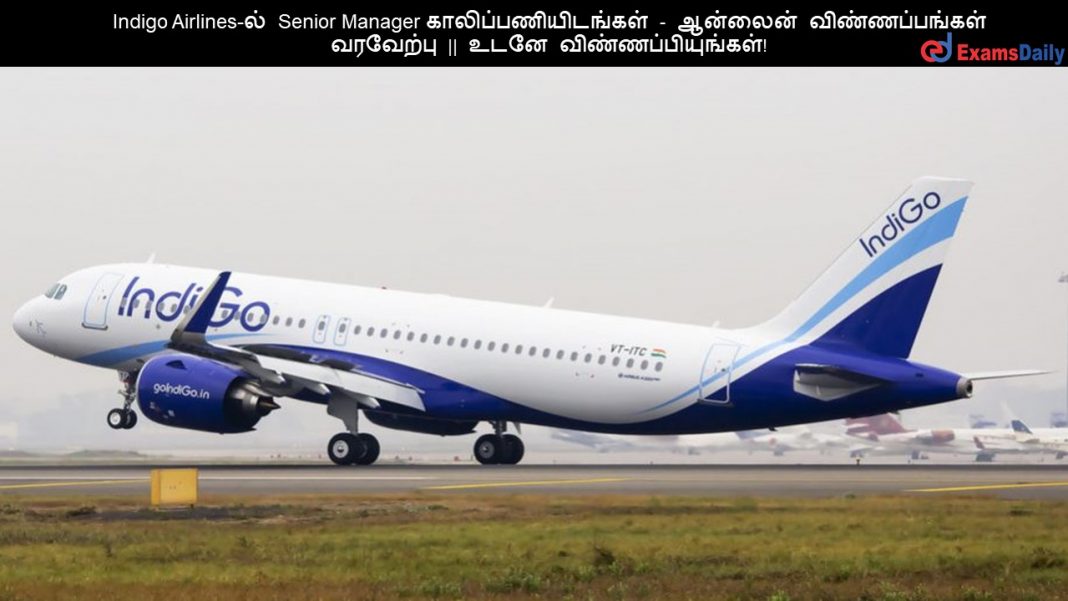 Indigo Airlines-?? Senior Manager ????????????????? - ??????? ????????????? ???????? || ???? ????????????????!