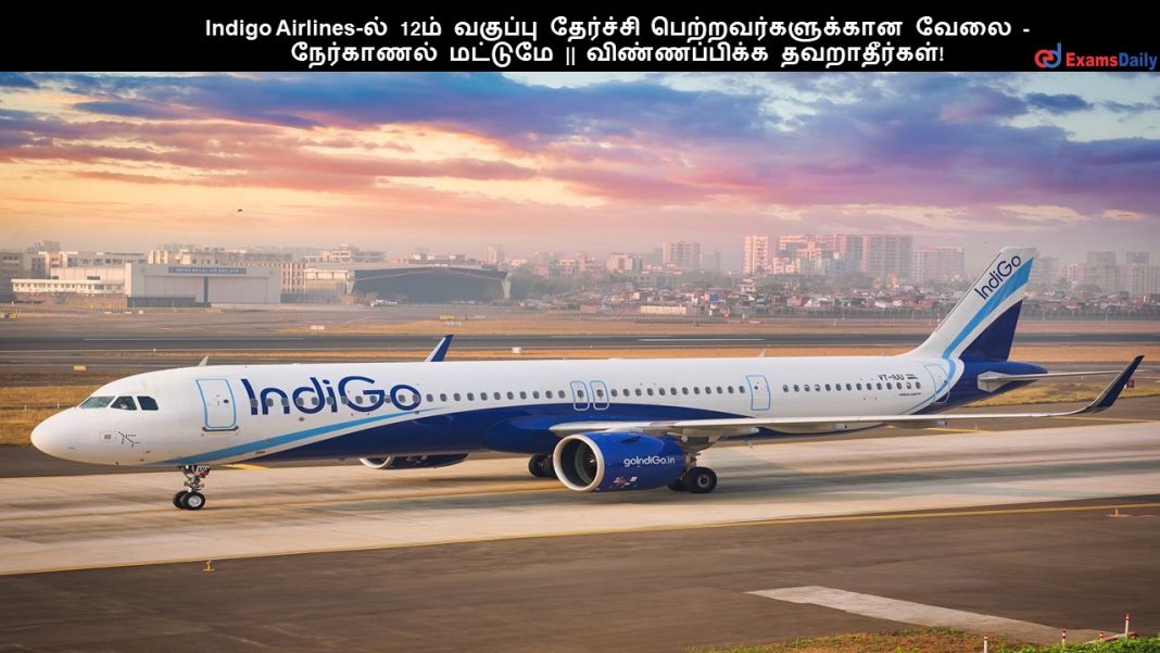 Indigo Airlines-?? 12?? ??????? ???????? ???????????????? ???? - ????????? ??????? || ???????????? ???????????!