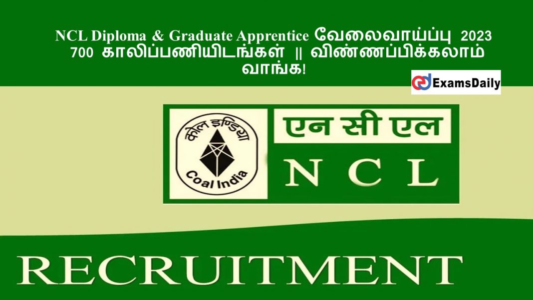 NCL Diploma & Graduate Apprentice வேலைவாய்ப்பு 2023 - 700 காலிப்பணியிடங்கள் || விண்ணப்பிக்கலாம் வாங்க!