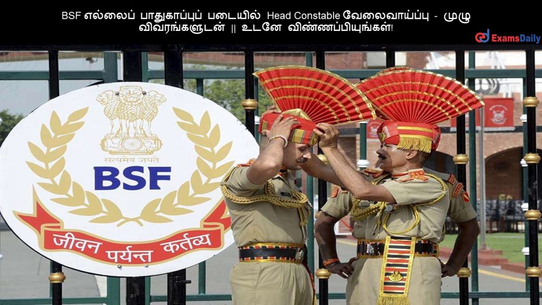BSF