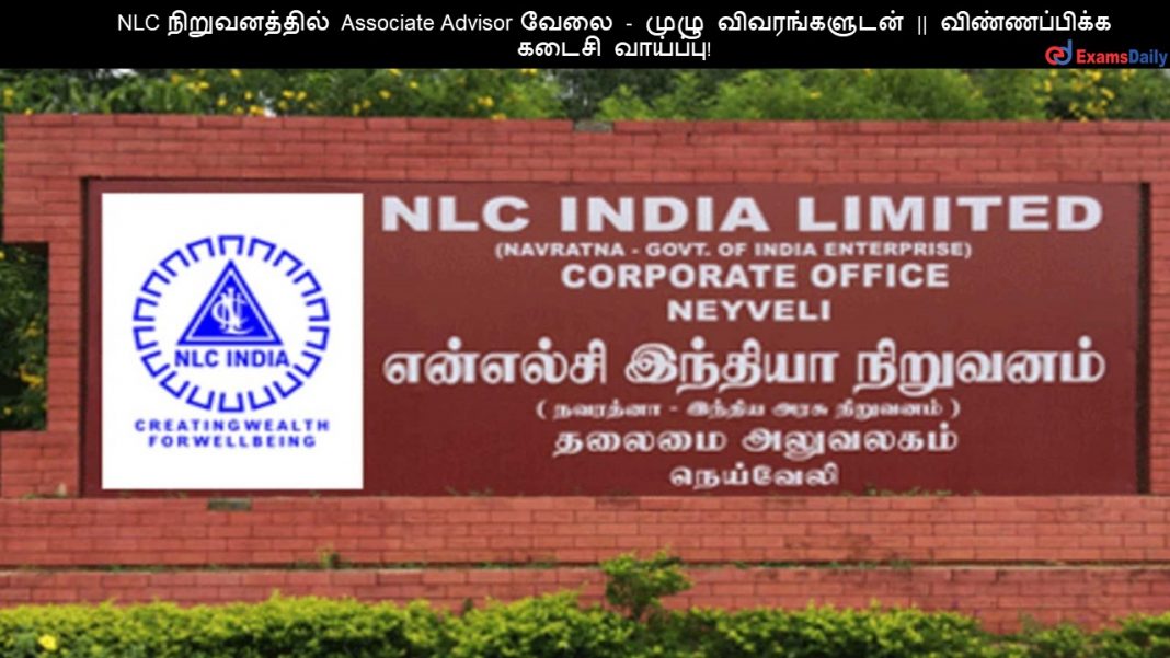NLC ???????????? Associate Advisor ???? - ???? ???????????? || ???????????? ????? ????????! NLC ???????????? Associate Advisor ???? - ???? ???????????? || ???????????? ????? ????????!