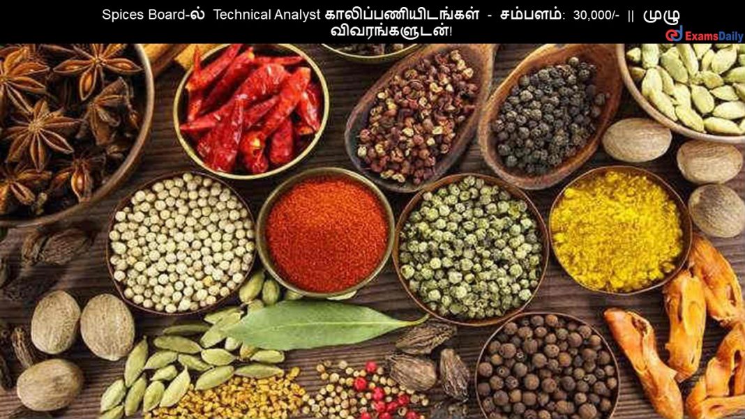 Spices Board-?? Technical Analyst ????????????????? - ???????: 30,000/- || ???? ????????????!