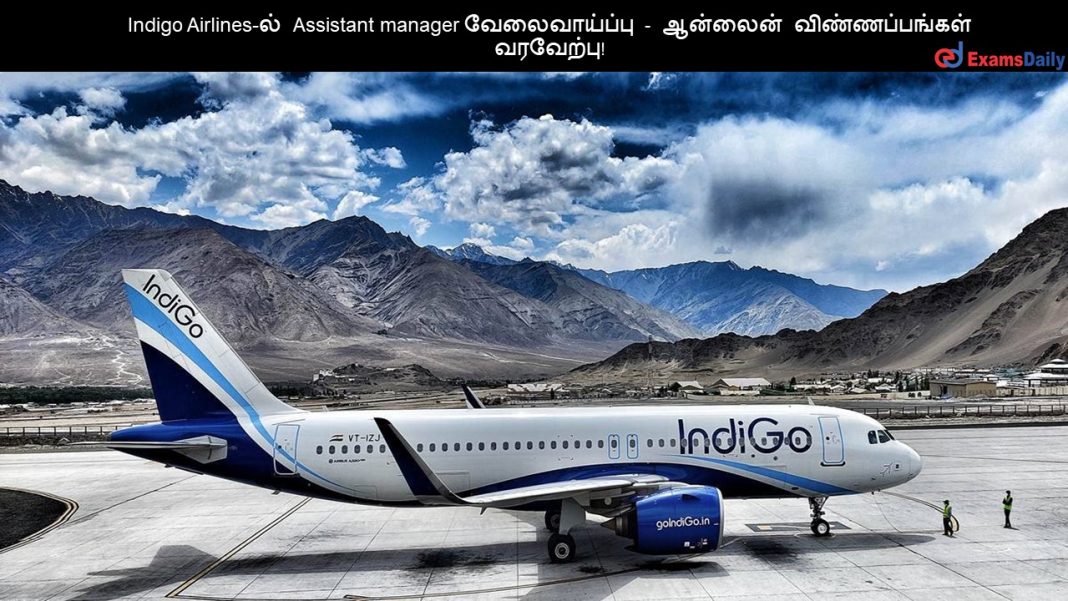 Indigo Airlines-?? Assistant manager ???????????? - ??????? ????????????? ????????!