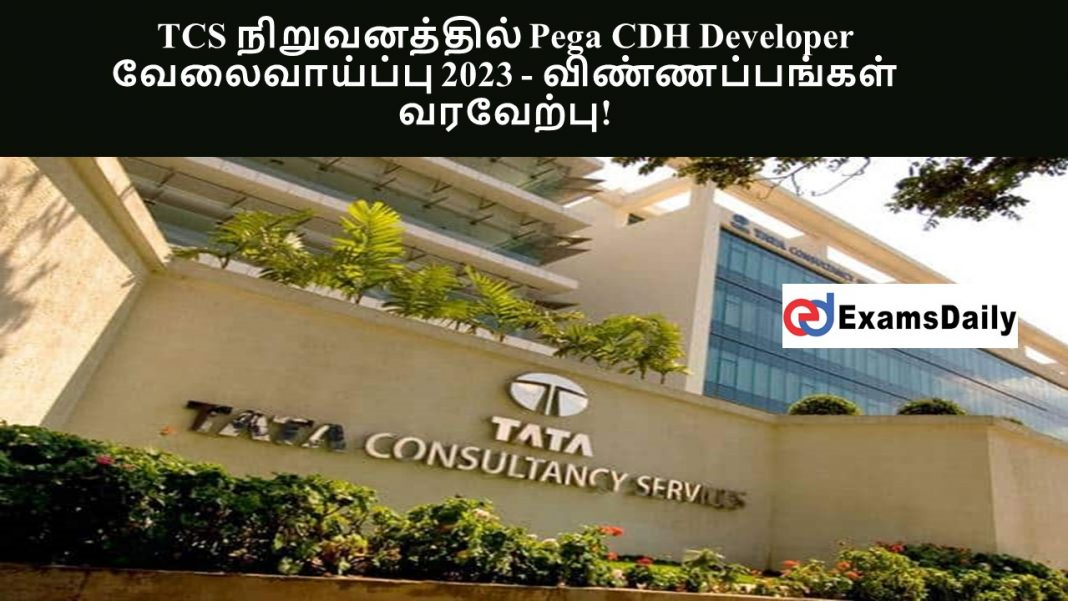 Lavori per sviluppatore Pega CDH 2023 in TCS