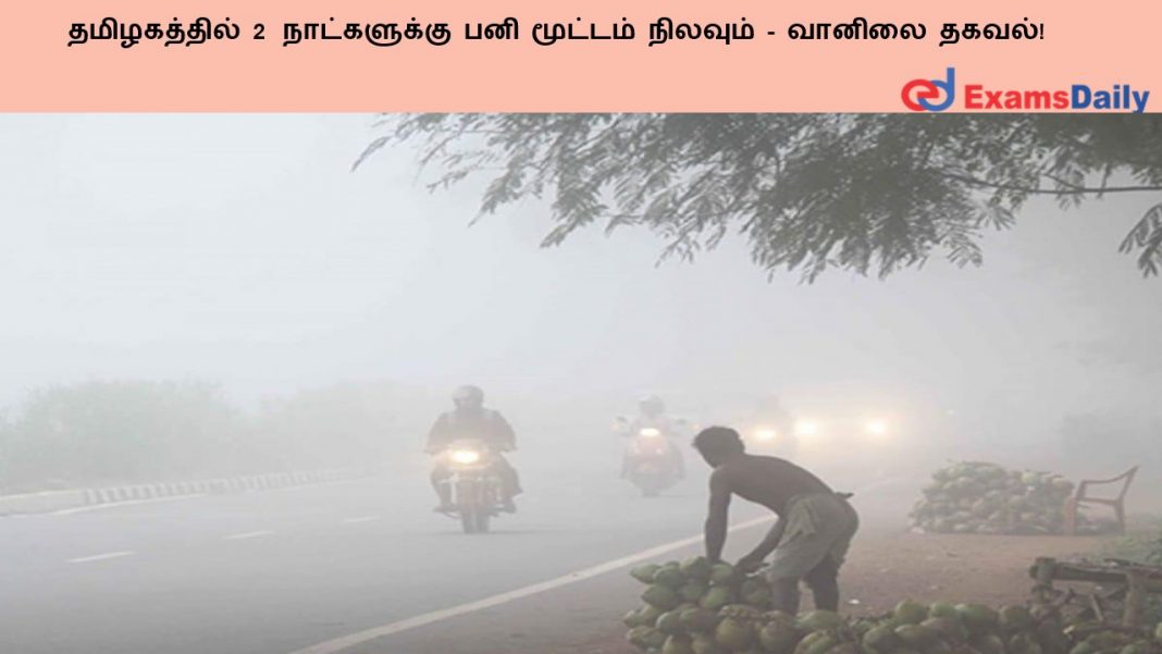 ??????????? 2 ??????????? ??? ??????? ??????? - ?????? ?????!