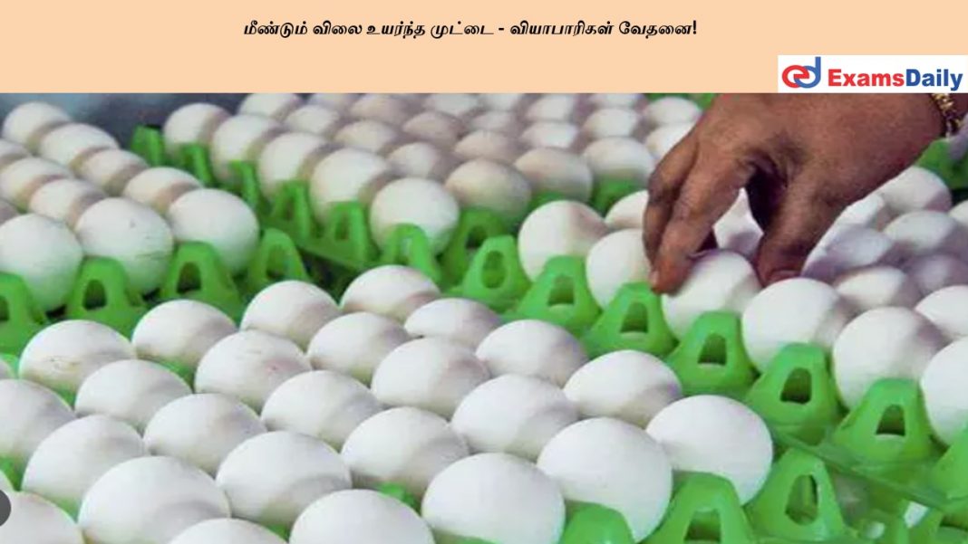 ???????? ???? ??????? ?????? - ??????????? ?????!