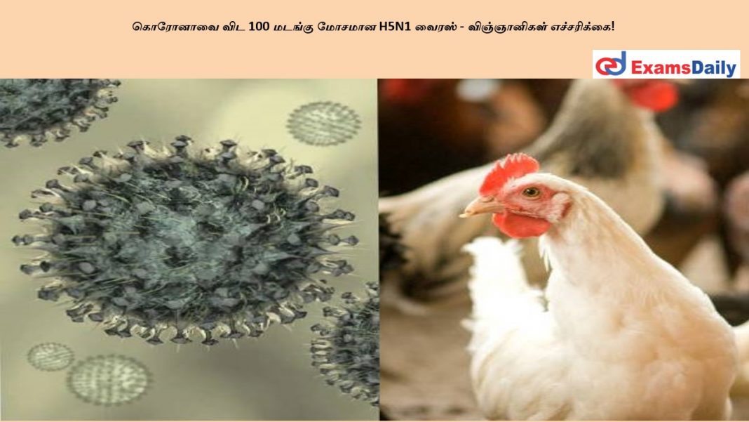 கொரோனாவை விட 100 மடங்கு மோசமான H5N1 வைரஸ் - விஞ்ஞானிகள் எச்சரிக்கை!