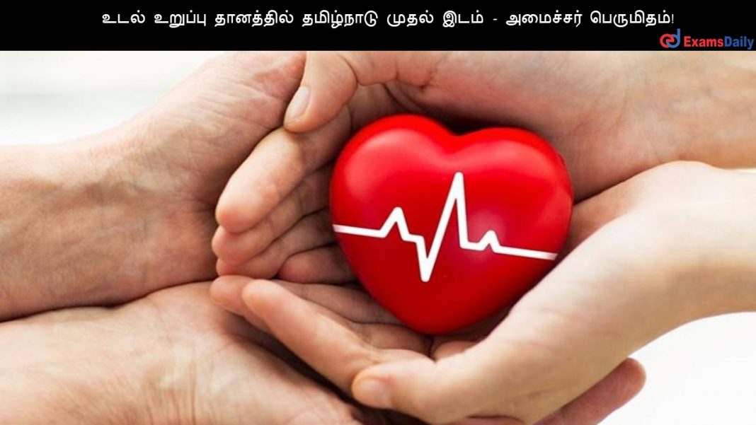 ???? ??????? ????????? ????????? ????? ???? - ???????? ?????????!