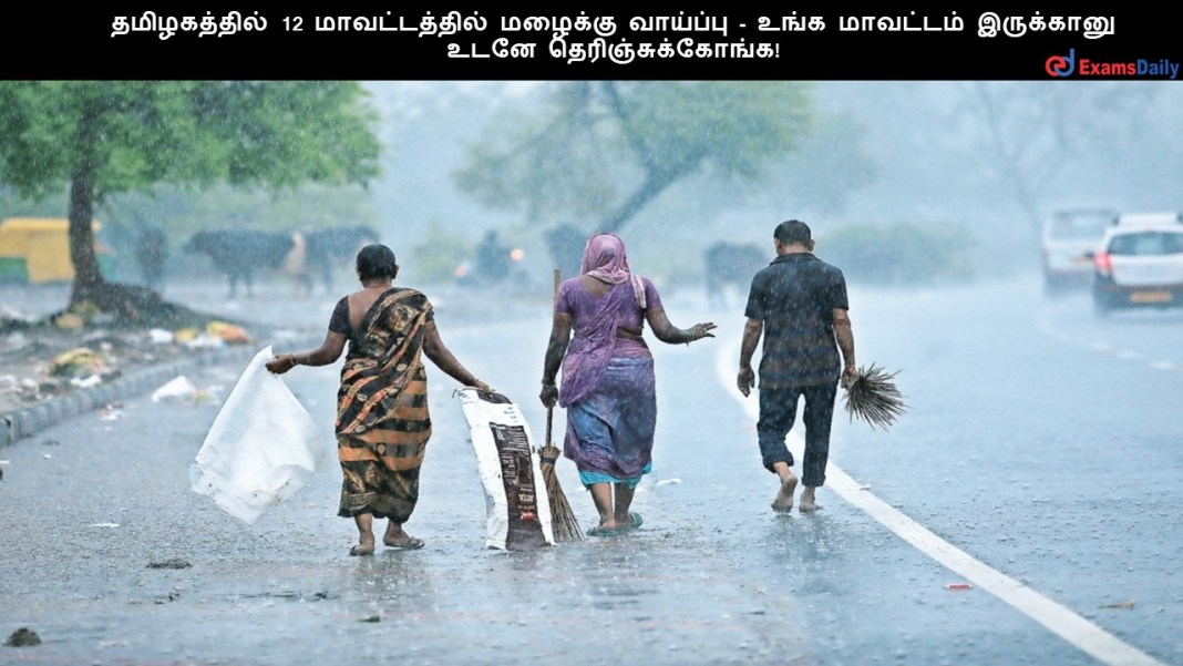 Rain