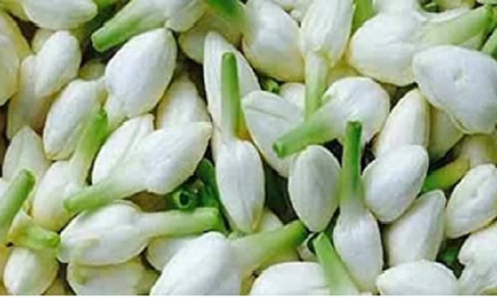 mallikai