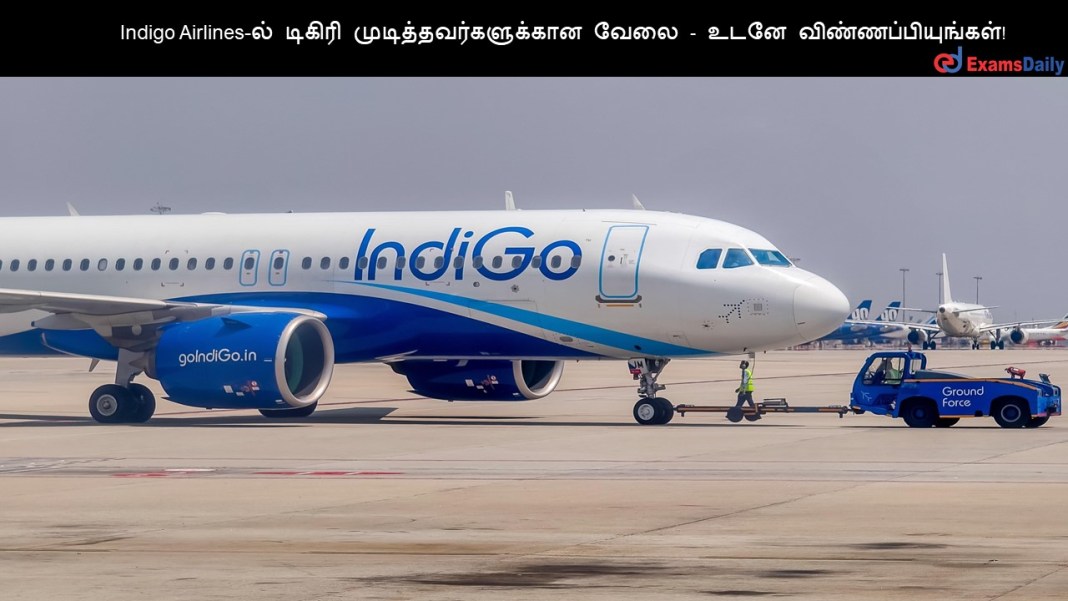 Indigo