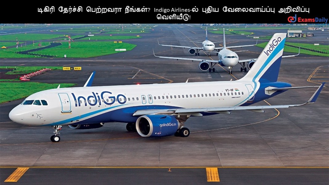 ?????? ???????? ???????? ???????? Indigo Airlines-?? ????? ???????????? ????????? ????????!