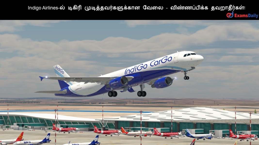 Indigo Airlines-ல் டிகிரி முடித்தவர்களுக்கான வேலை - விண்ணப்பிக்க தவறாதீர்கள்! Indigo Airlines-ல் டிகிரி முடித்தவர்களுக்கான வேலை - விண்ணப்பிக்க தவறாதீர்கள்!