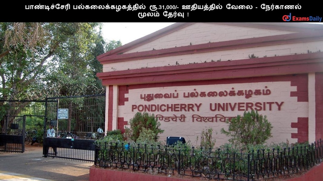 பாண்டிச்சேரி பல்கலைக்கழகத்தில் ரூ.31,000/- ஊதியத்தில் வேலை - நேர்காணல் மூலம் தேர்வு !