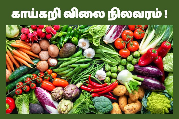 VEG PRICE Today Vegetable Price: ??????????? ????????? ????????? ?????? ??????? ????...!! " ?????? ???? ??????? ????????"?