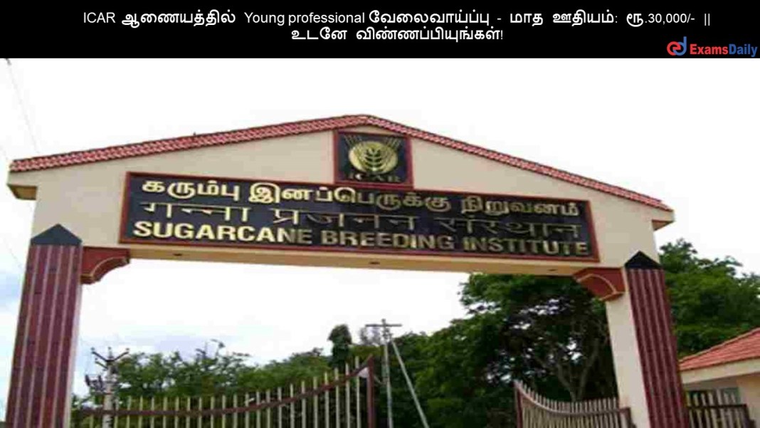 ICAR ஆணையத்தில் Young professional வேலைவாய்ப்பு - மாத ஊதியம்: ரூ.30,000/- || உடனே விண்ணப்பியுங்கள்!