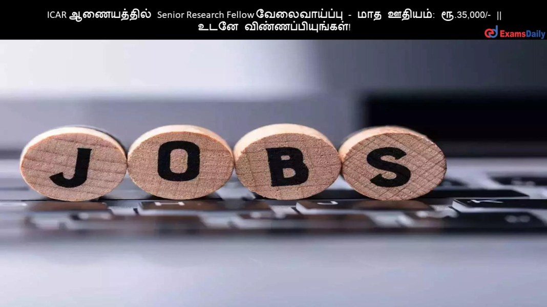 ICAR ஆணையத்தில் Senior Research Fellow வேலைவாய்ப்பு - மாத ஊதியம்: ரூ.35,000/- || உடனே விண்ணப்பியுங்கள்!