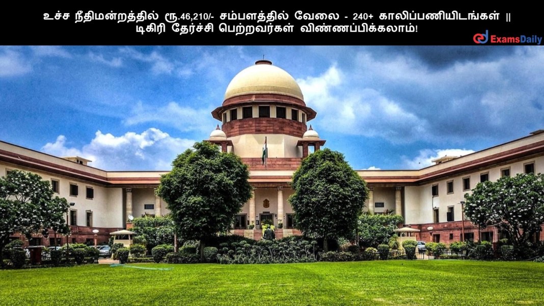 Supreme Court ???? ?????????????? ??. 72,040/- ??????????? ???? - 240+ ????????????????? || ?????? ???????? ??????????? ????????????????!