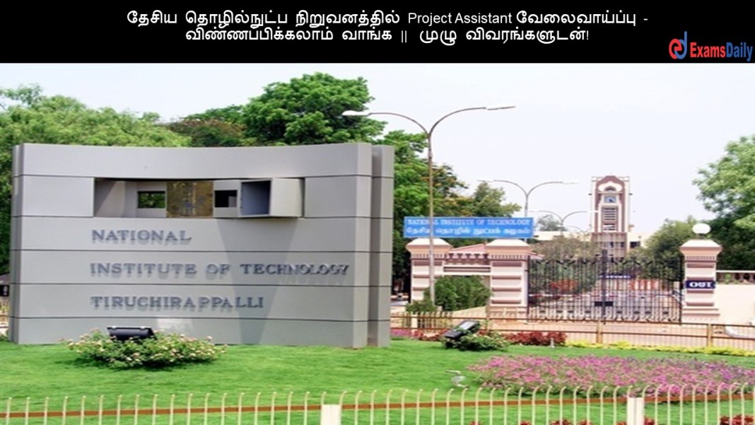nit ????? ??????????? ???????????? Project Assistant ???????????? - ???????????????? ????? || ???? ????????????!