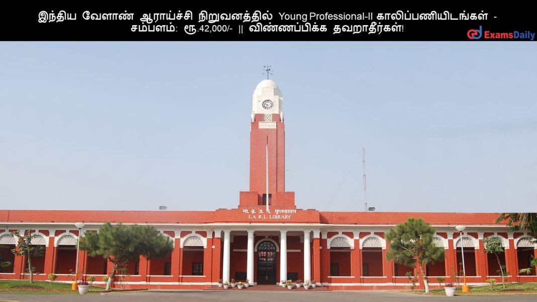இந்திய வேளாண் ஆராய்ச்சி நிறுவனத்தில் Young Professional-II காலிப்பணியிடங்கள் - சம்பளம்: ரூ.42,000/- || விண்ணப்பிக்க தவறாதீர்கள்!