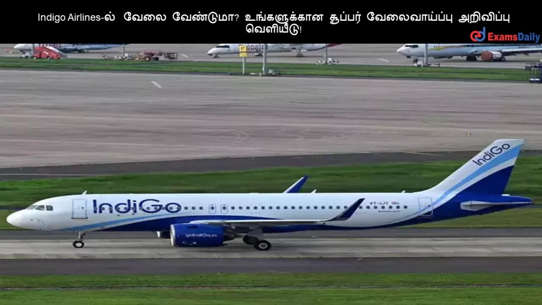 Indigo Indigo Airlines-?? ???? ????????? ??????????? ??????? ???????????? ????????? ????????!