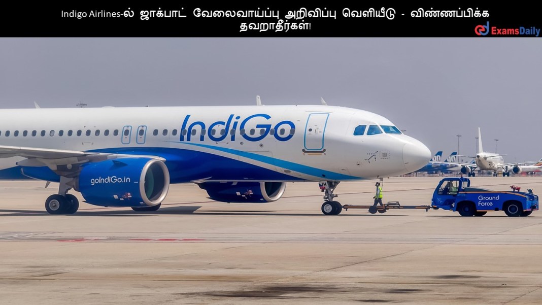 Indigo Indigo Airlines-?? ???????? ???????????? ????????? ???????? - ???????????? ???????????!