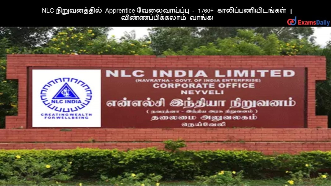 NLC NLC ???????????? Apprentice ???????????? - 1760+ ????????????????? || ???????????????? ?????!