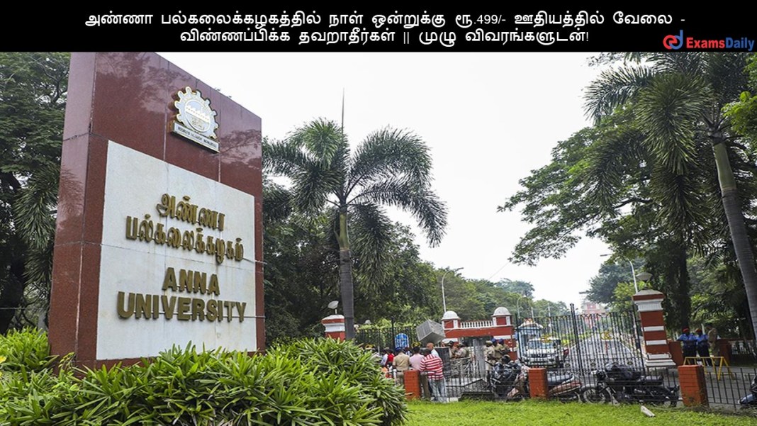 அண்ணா பல்கலைக்கழகத்தில் நாள் ஒன்றுக்கு ரூ.499/- ஊதியத்தில் வேலை - விண்ணப்பிக்க தவறாதீர்கள் || முழு விவரங்களுடன்!