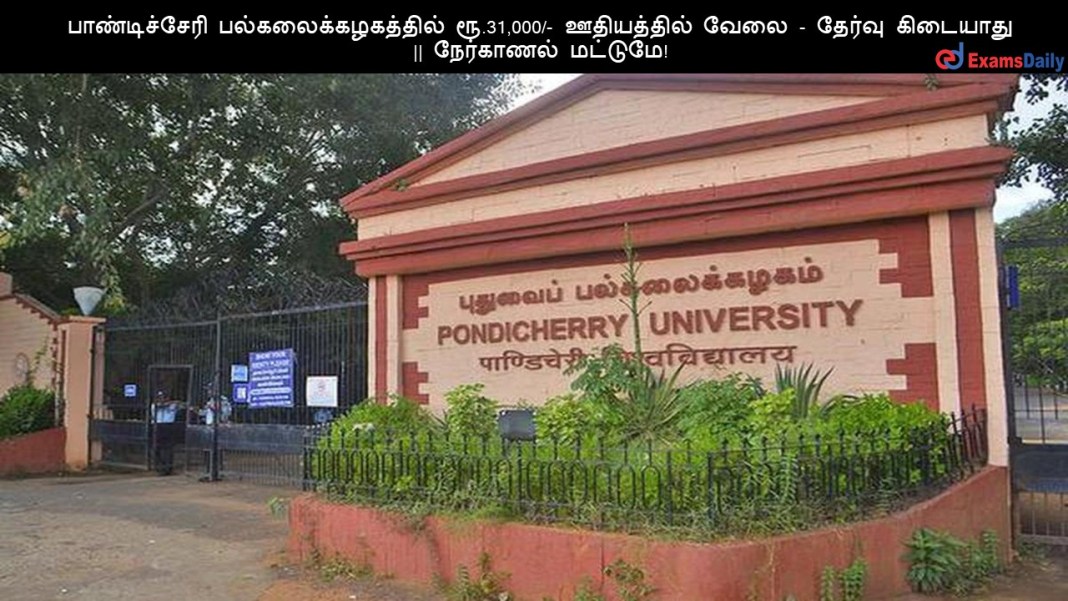 பாண்டிச்சேரி பல்கலை பாண்டிச்சேரி பல்கலைக்கழகத்தில் ரூ.31,000/- ஊதியத்தில் வேலை - தேர்வு கிடையாது || நேர்காணல் மட்டுமே!