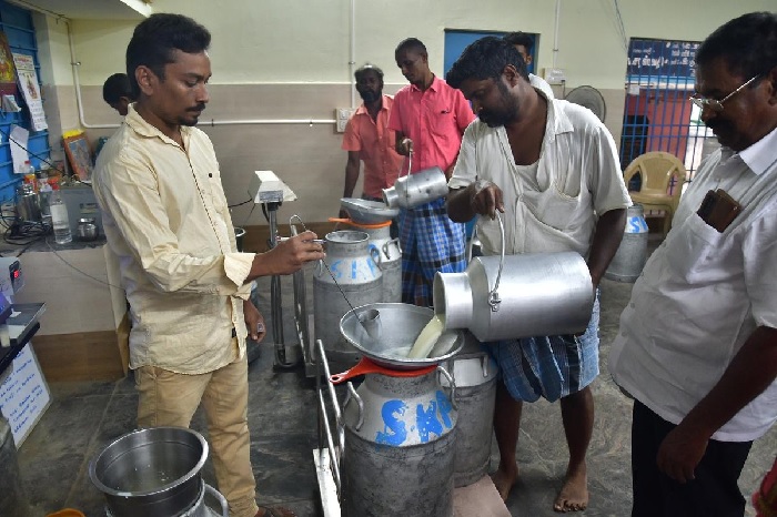 2025-2026 Dairy subsidy request ???? ???????????????????? ??? ?????????.. 2025-2026 ???????????? ??????? ????????.. ??????? ??????? ????????????..!!