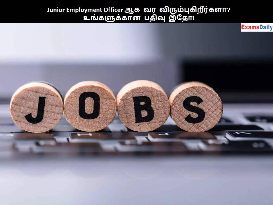 Junior Employment Officer
