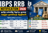 IBPS RRB Notification 2026: தமிழ் வங்கித் தேர்வு முறை மற்றும் முக்கியத் தேதிகள்!