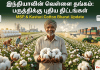 இந்தியாவின் வெள்ளை தங்கம் பருத்தி: MSP மற்றும் Kasturi Cotton Bharat திட்டம்