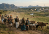 Pastoralism என்றால் என்ன? நிரந்தர குடியேற்றம் மட்டுமே வளர்ச்சியா? UPSC